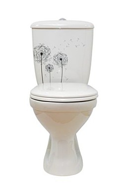 Унитаз-компакт Суперкомпакт белый, декор 